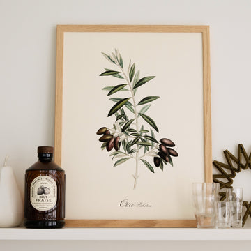 Affiche Olive